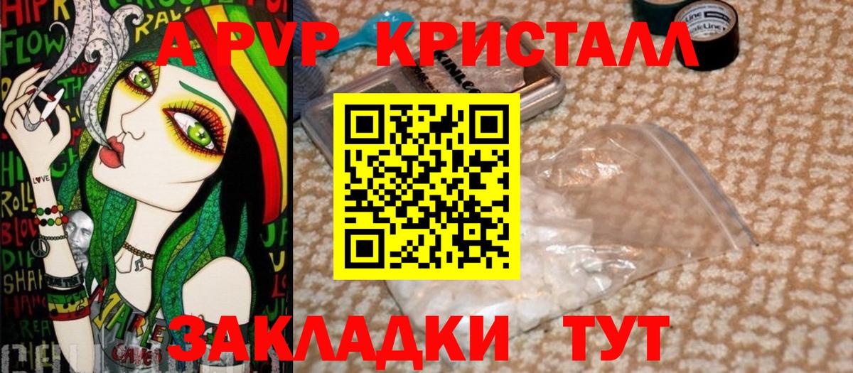 А ПВП крисы CK  APVP СК  Новозыбков  Вход с VPN 