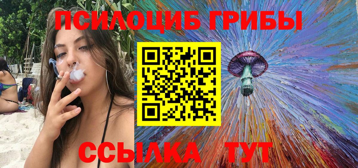 Псилоцибиновые грибы мицелий Новозыбков